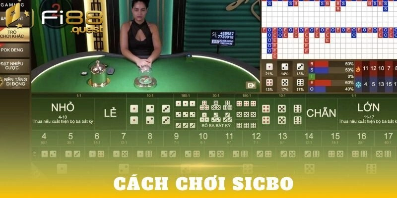 Tổng hợp kiến thức cần biết khi tham gia đặt cược